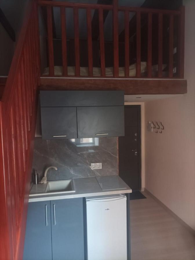 Chorni Vivtsy Apartment Chernivtsi Bagian luar foto