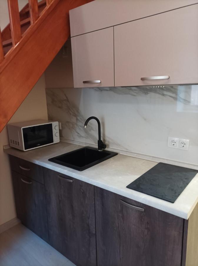 Chorni Vivtsy Apartment Chernivtsi Bagian luar foto